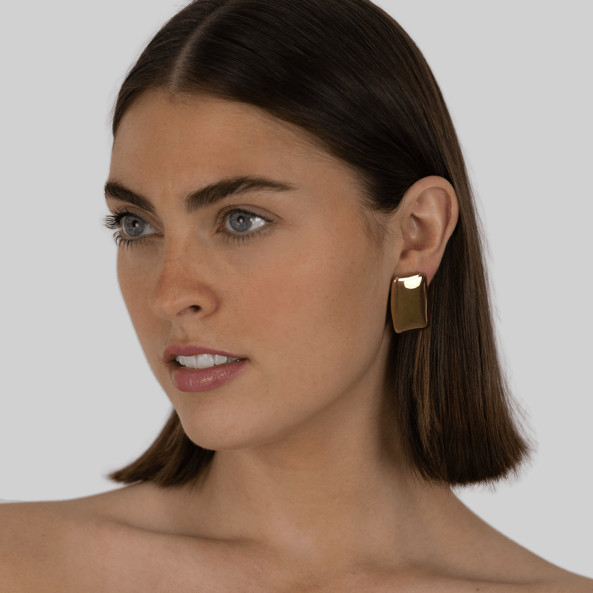 Flat Plate Earrings